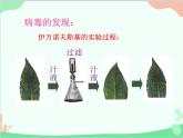 人教版生物八年级上册 5.5 病毒课件