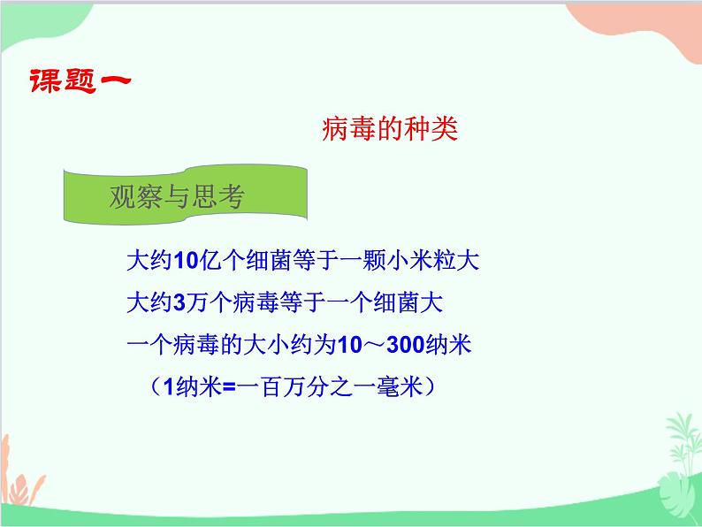 人教版生物八年级上册 5.5 病毒课件第3页