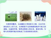人教版生物八年级上册 6.2 认识生物的多样性课件