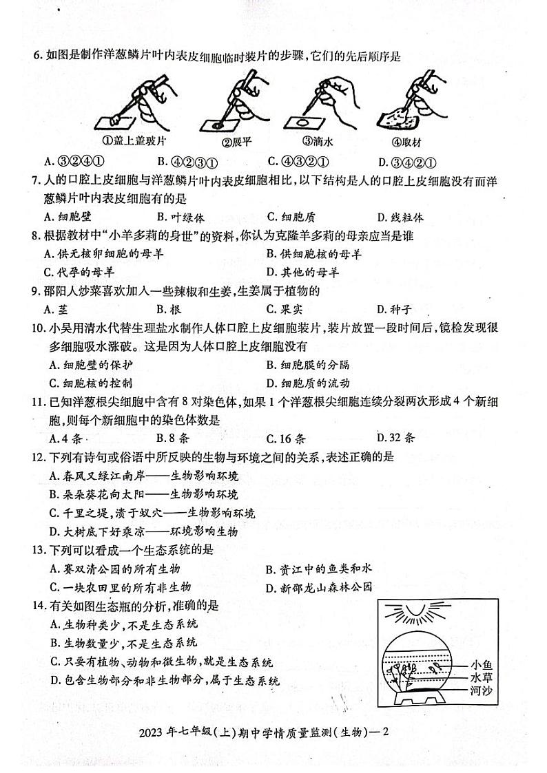 湖南省邵阳市新邵县2023-2024学年七年级上学期期中生物学试题02
