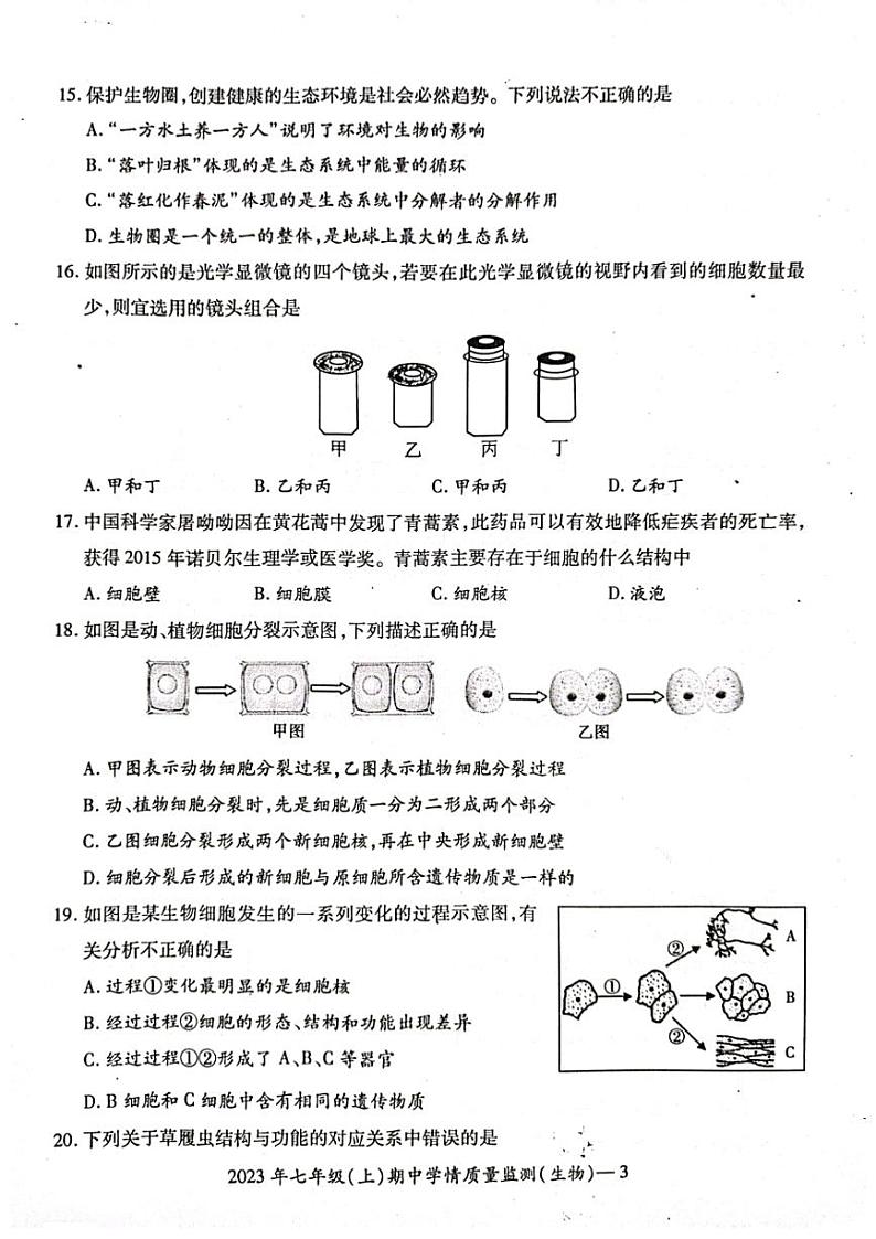 湖南省邵阳市新邵县2023-2024学年七年级上学期期中生物学试题03