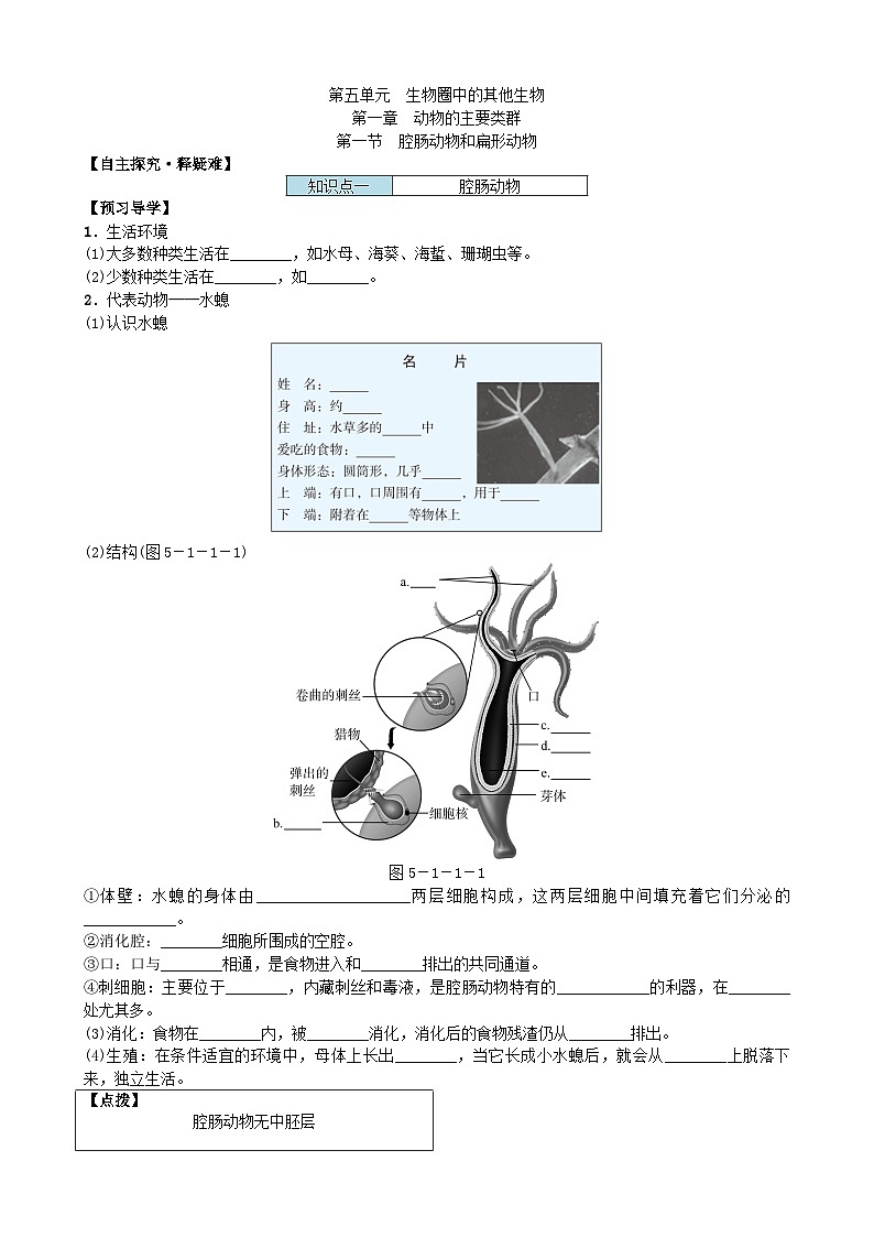 人教版生物八年级上册 第五单元第一章第一节 腔肠动物和扁形动物学案01
