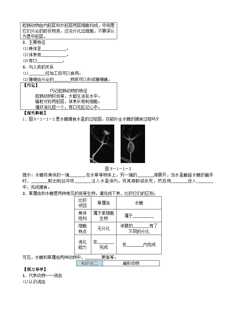 人教版生物八年级上册 第五单元第一章第一节 腔肠动物和扁形动物学案02