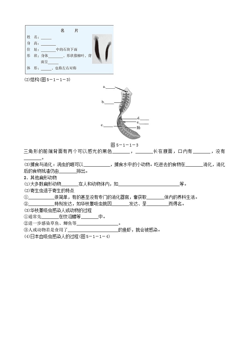 人教版生物八年级上册 第五单元第一章第一节 腔肠动物和扁形动物学案03