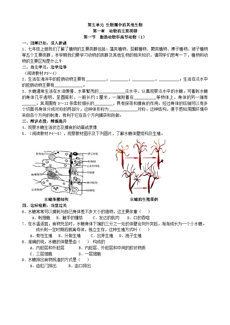 人教版生物八年级上册 第五单元第一章第一节 腔肠动物和扁形动物（1）学案01