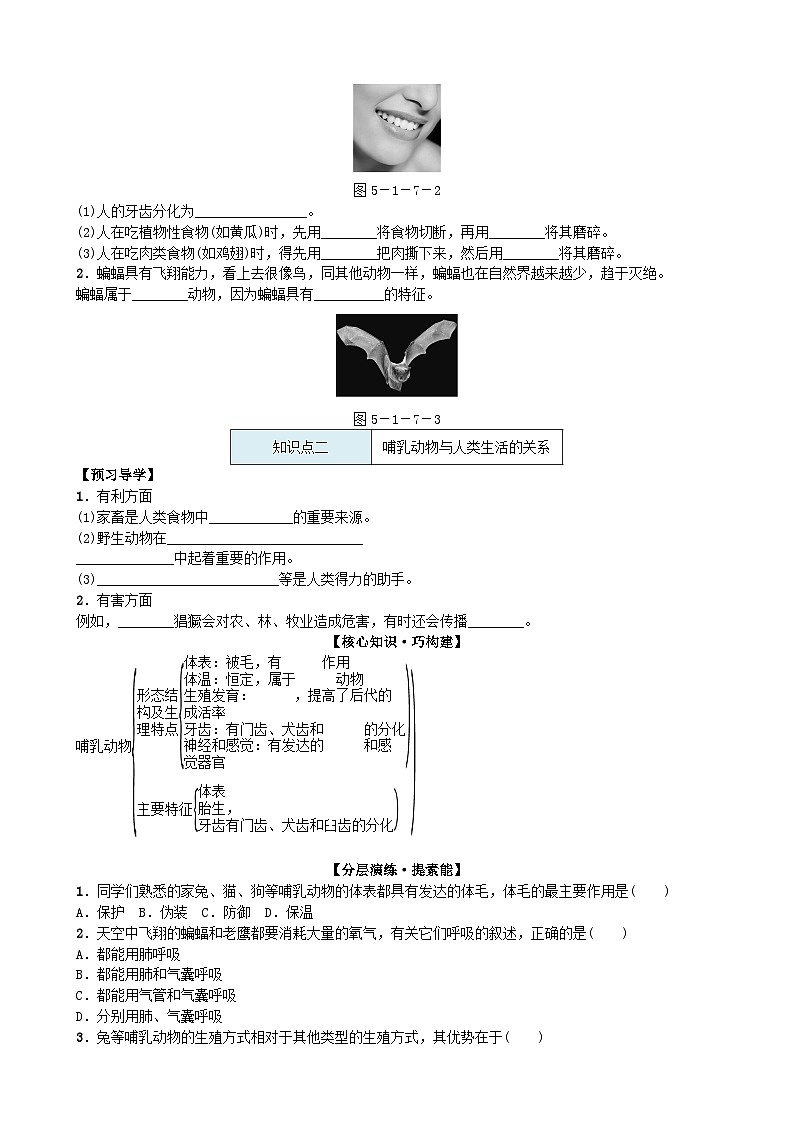 人教版生物八年级上册 第五单元第一章第七节　哺乳动物学案02