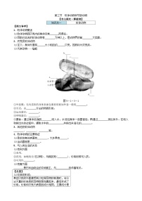 初中生物第三节   软体动物和节肢动物学案