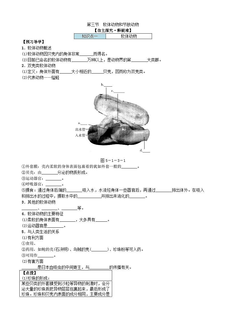 人教版生物八年级上册 第五单元第一章第三节 动物的运动软体动物和节肢动物学案01