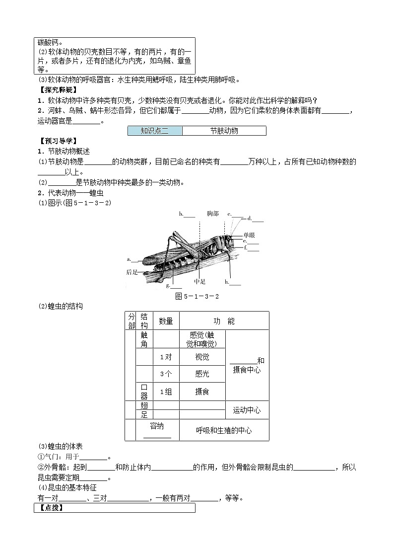 人教版生物八年级上册 第五单元第一章第三节 动物的运动软体动物和节肢动物学案02