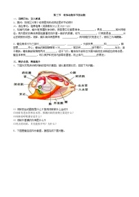 初中生物人教版 (新课标)八年级上册第三节   软体动物和节肢动物导学案