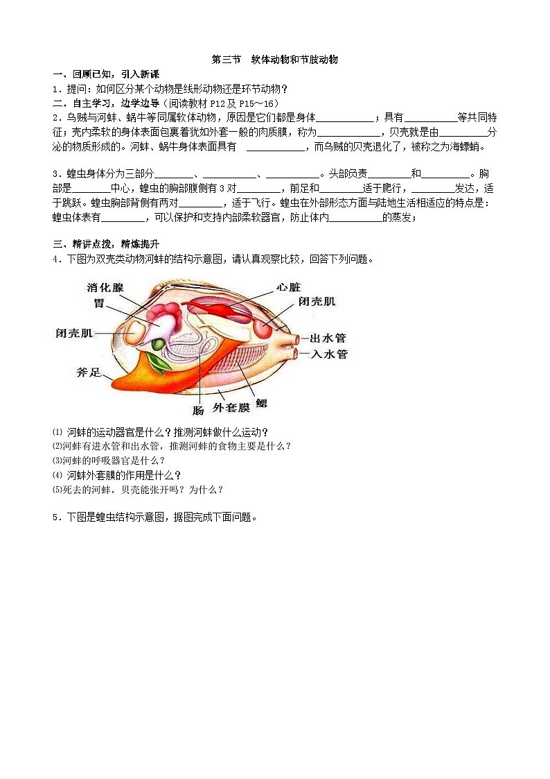 人教版生物八年级上册 第五单元第一章第三节 软体动物和节肢动物学案01