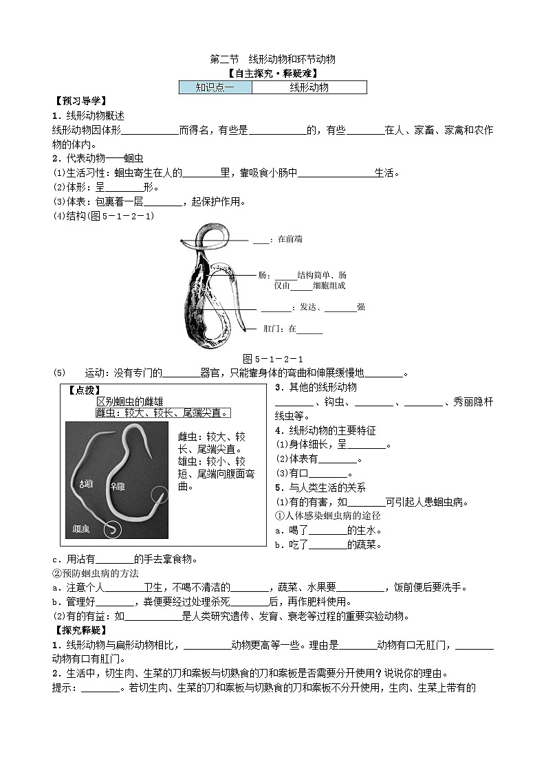 人教版生物八年级上册 第五单元第一章第二节 动物的运动线形动物和环节动物学案第1页