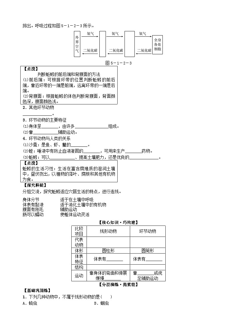 人教版生物八年级上册 第五单元第一章第二节 动物的运动线形动物和环节动物学案第3页