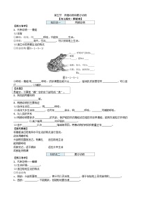 人教版 (新课标)八年级上册第五节 两栖动物和爬行动物学案设计