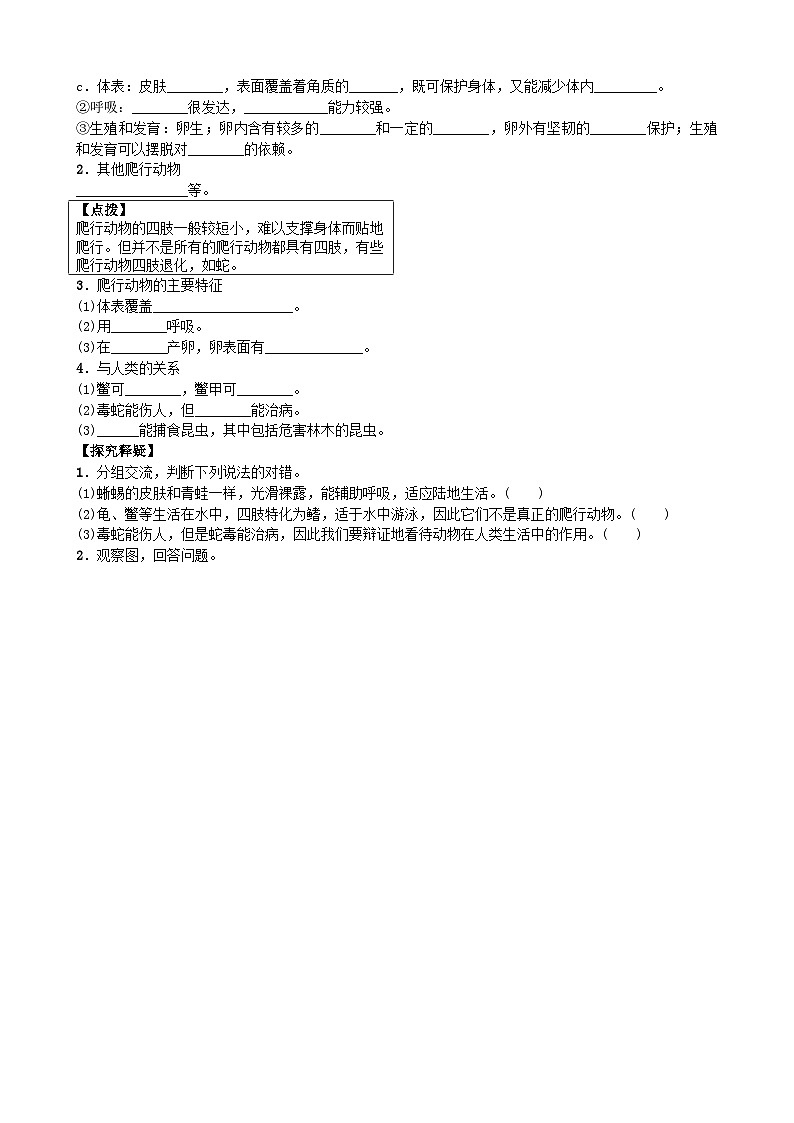 人教版生物八年级上册 第五单元第一章第五节　两栖动物和爬行动物学案02