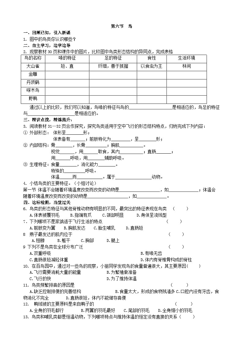 人教版生物八年级上册 第五单元第一章第六节 鸟学案01