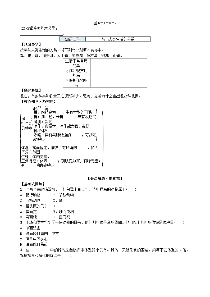 人教版生物八年级上册 第五单元第一章第六节　鸟学案03