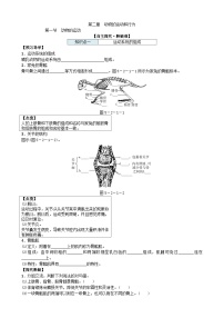 初中生物人教版 (新课标)八年级上册第一节 动物的运动导学案