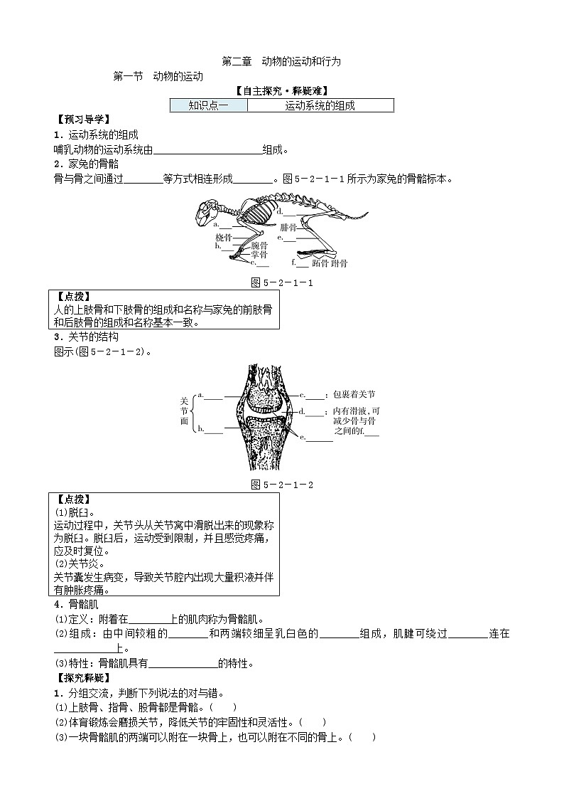 人教版生物八年级上册 第五单元第二章第一节 动物的运动 (2)学案01