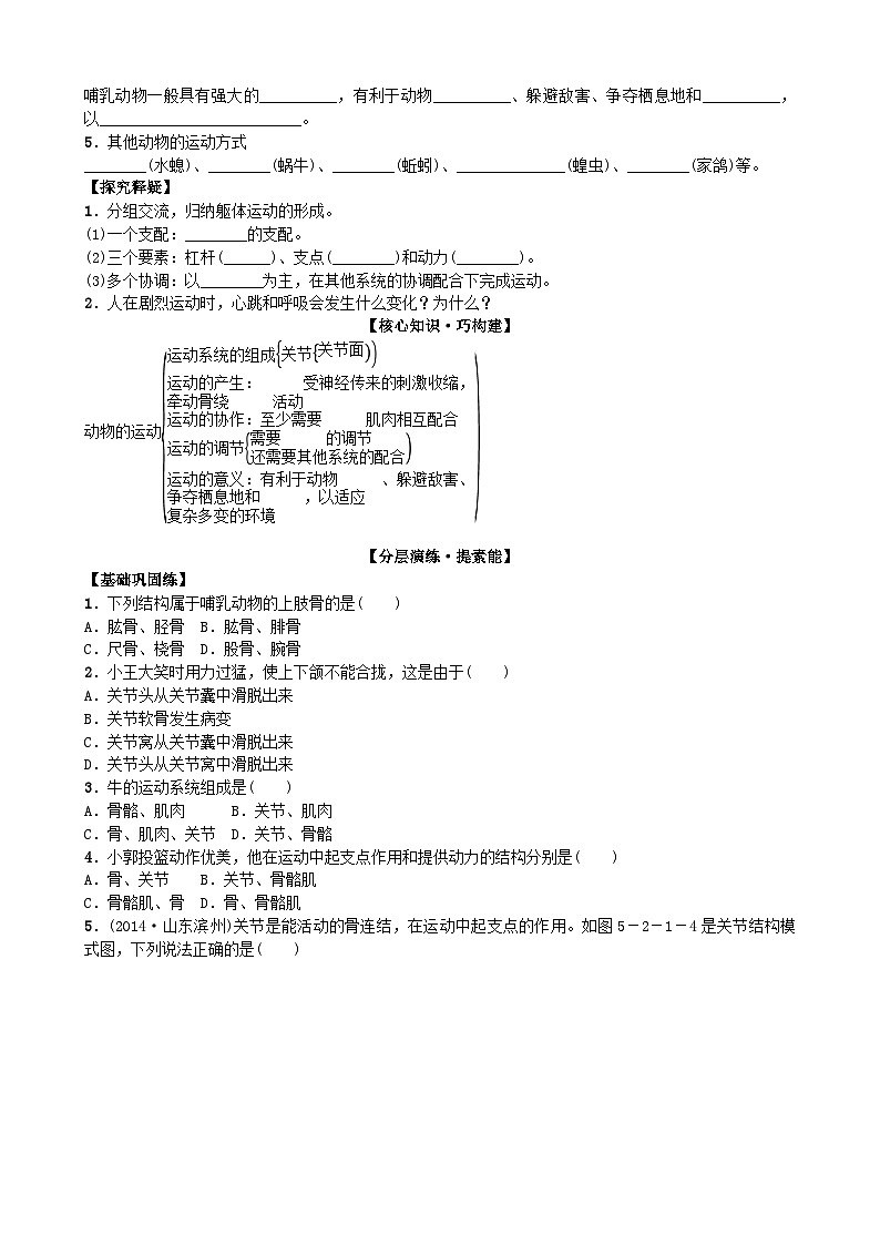 人教版生物八年级上册 第五单元第二章第一节 动物的运动 (2)学案03