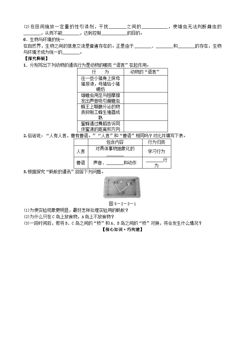 人教版生物八年级上册 第五单元第二章第三节 社会行为 (2)学案03