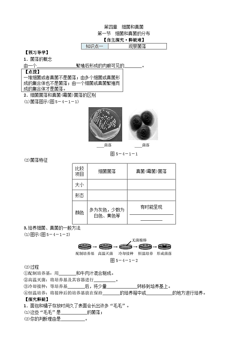 人教版生物八年级上册 第五单元第四章第一节　细菌和真菌的分布学案01