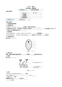 初中生物第三节 真菌学案设计