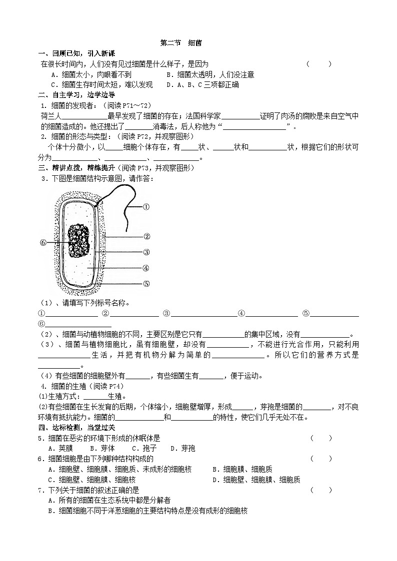 人教版生物八年级上册 第五单元第四章第二节 细菌学案01