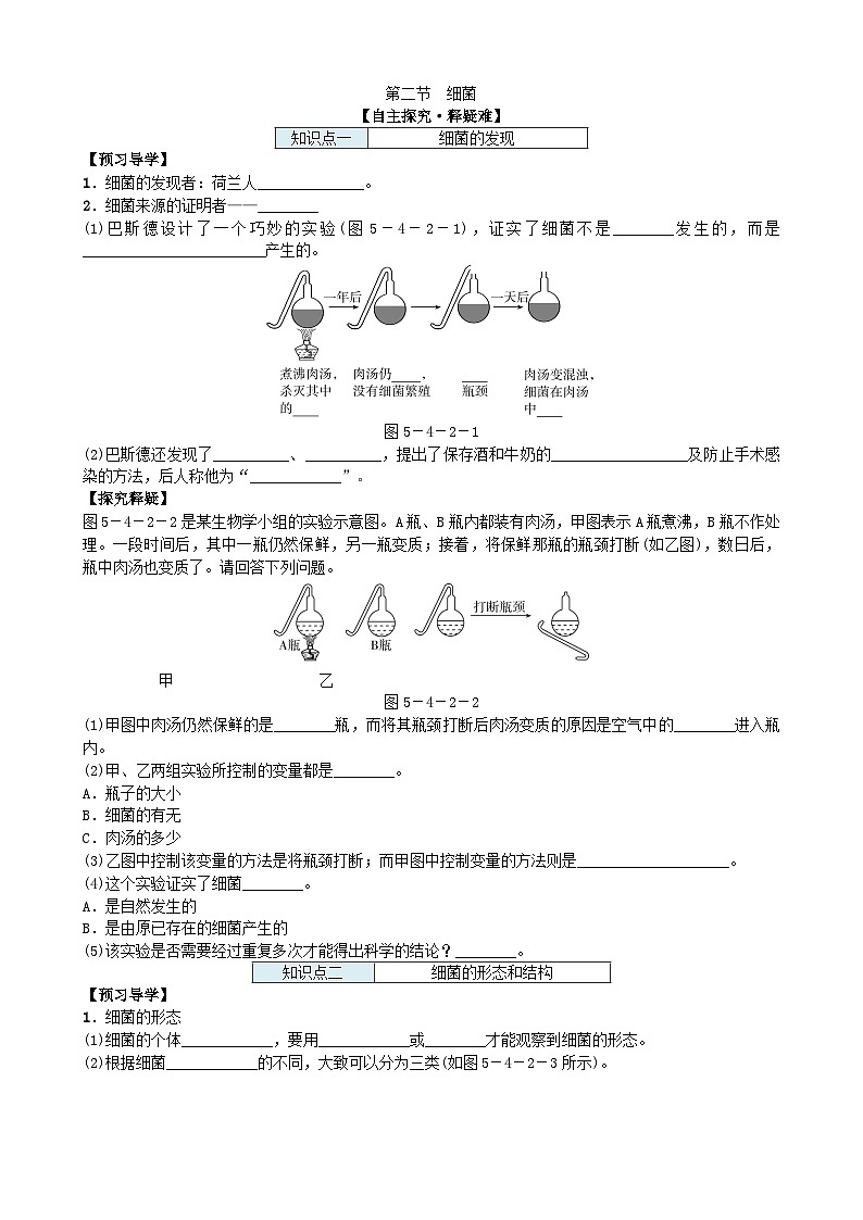 人教版生物八年级上册 第五单元第四章第二节　细菌学案第1页