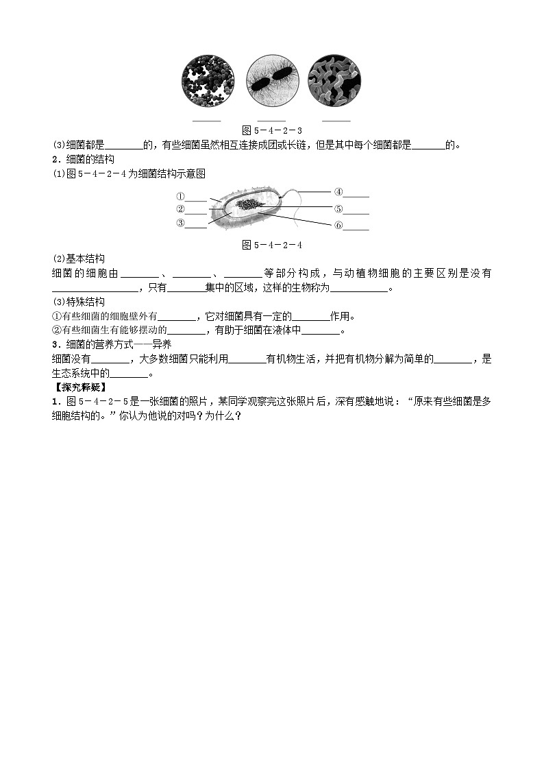 人教版生物八年级上册 第五单元第四章第二节　细菌学案第2页
