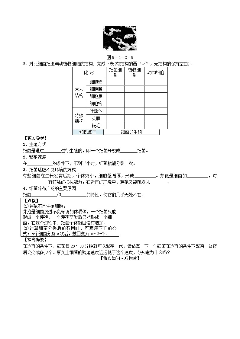 人教版生物八年级上册 第五单元第四章第二节　细菌学案第3页