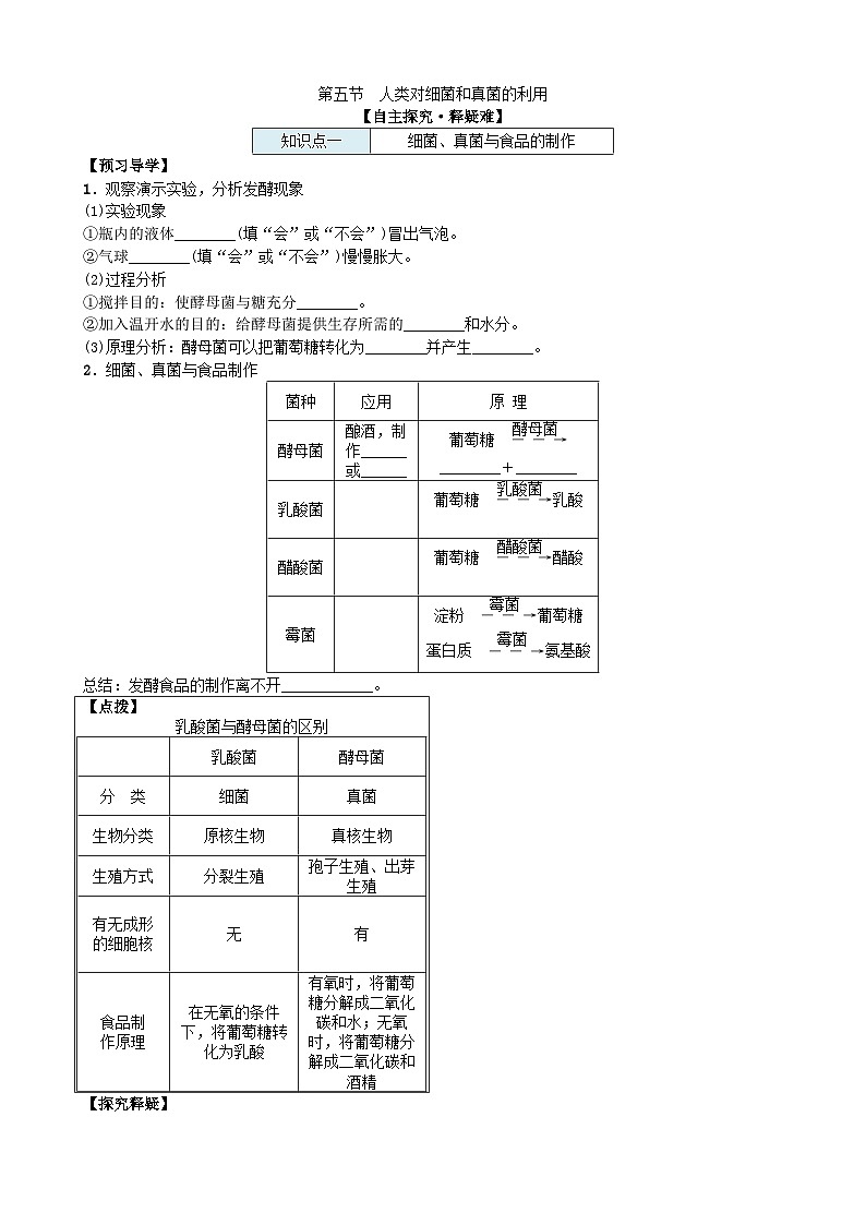 人教版生物八年级上册 第五单元第四章第五节 人类对细菌和真菌的利用 (2)学案01