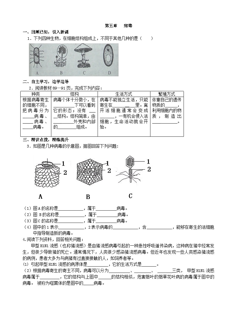 人教版生物八年级上册 第五单元第五章 病毒学案第1页