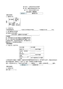 人教版 (新课标)八年级上册第一节 尝试对生物进行分类学案