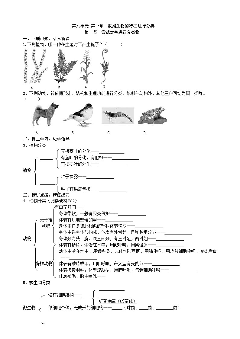人教版生物八年级上册 第六单元第一章第一节 尝试对生物进行分类学案01