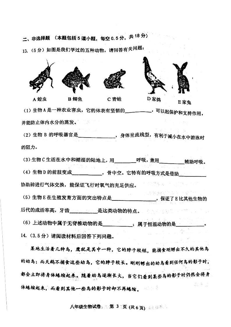 辽宁省铁岭市铁岭县2023-2024学年八年级上学期期中生物试题03