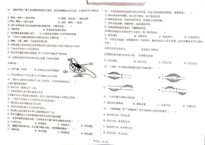 云南省石林县鹿阜中学2023－2024学年八年级上学期期中生物试卷02
