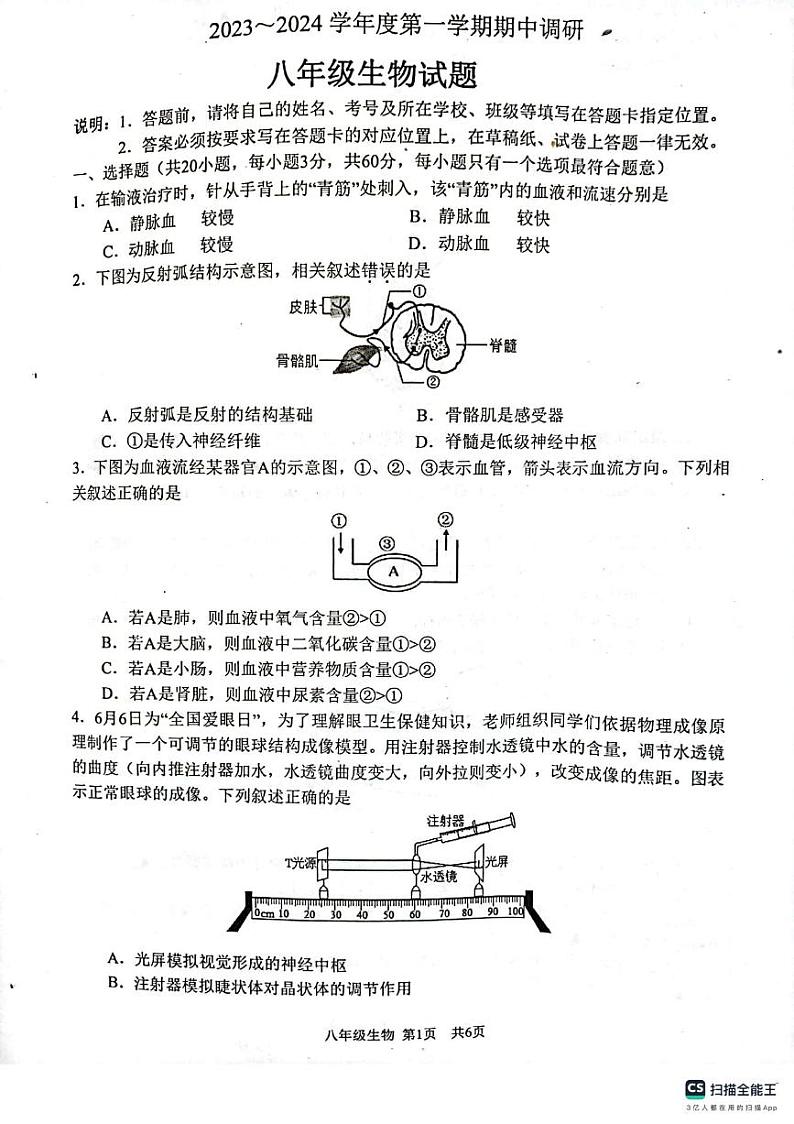 江苏省徐州市邳州市2023-2024学年八年级上学期期中调研生物试卷01