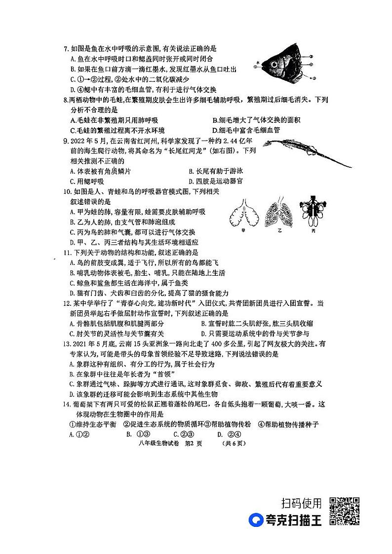 河北省唐山市丰南区2023-2024学年八年级上学期期中考试生物试题第2页
