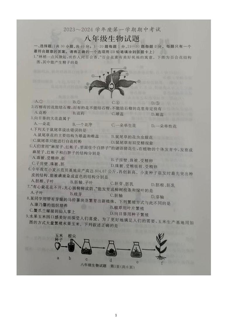 山东省枣庄市滕州市2023-2024学年八年级上学期期中生物试题第1页