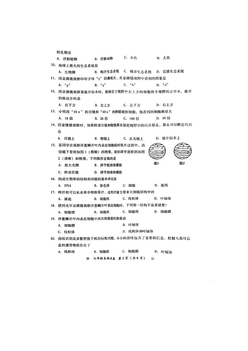 湖南省衡阳市衡南县三塘联合学校2023-2024学年七年级上学期期中生物试题第2页