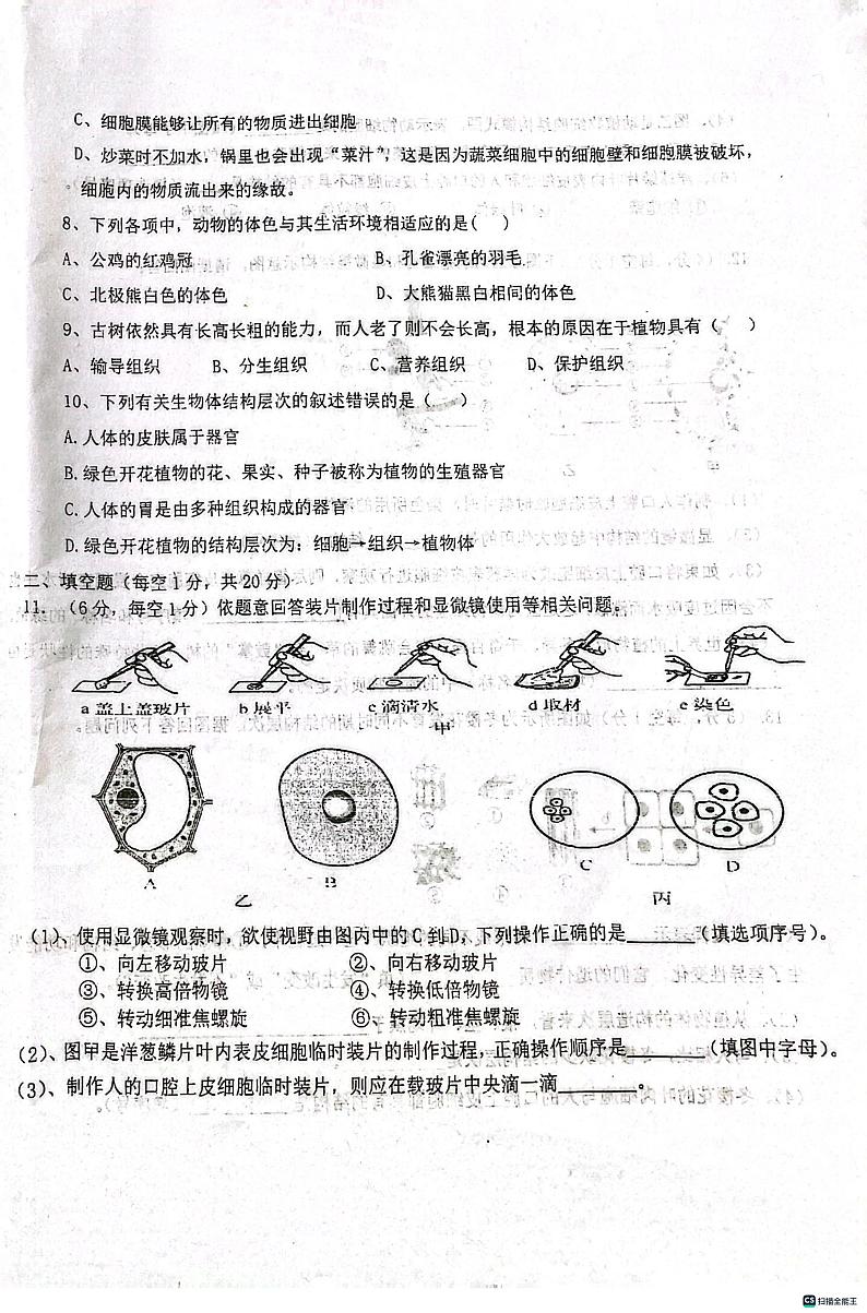 安徽省宿州市第二初级中学2023-2024学年七年级上学期期中生物试题第2页