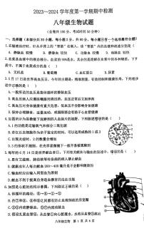 江苏省徐州市2023-2024学年八年级上学期期中生物试题