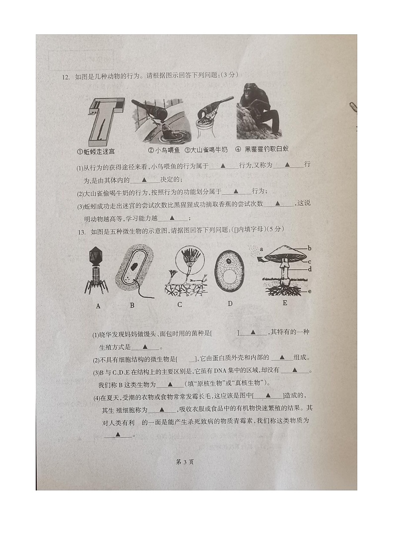 辽宁省本溪市2023-2024学年八年级上学期期中生物试题03