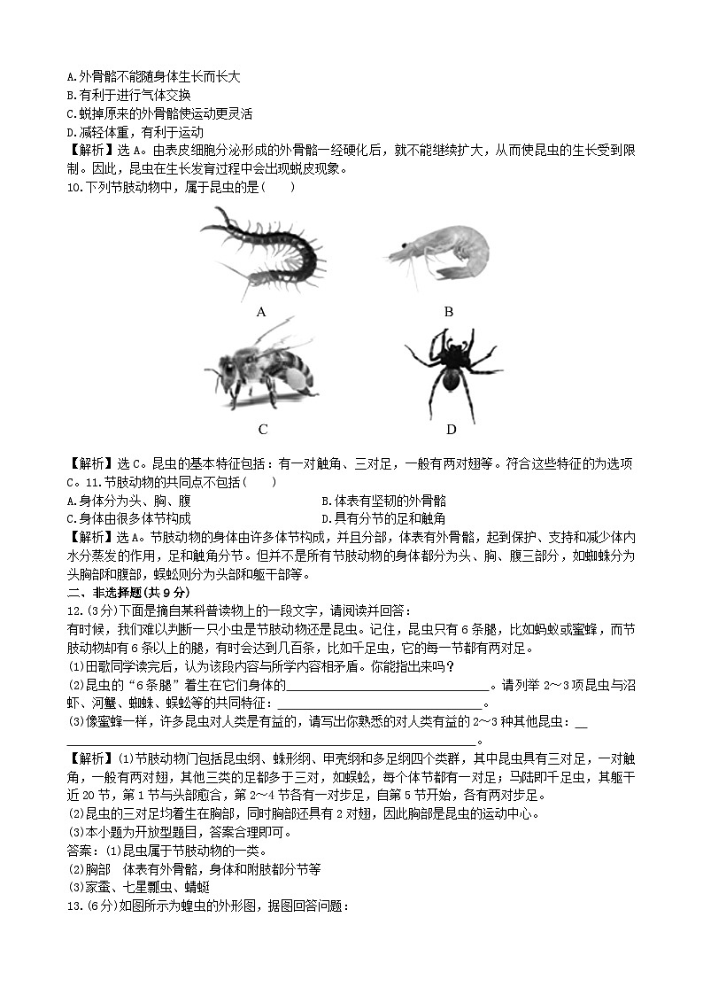 人教版生物八年级上册 5.1.3课时检测卷第2页