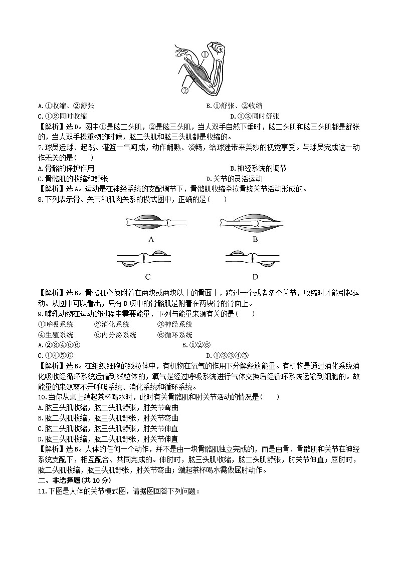 人教版生物八年级上册 5.2.1课时检测卷02