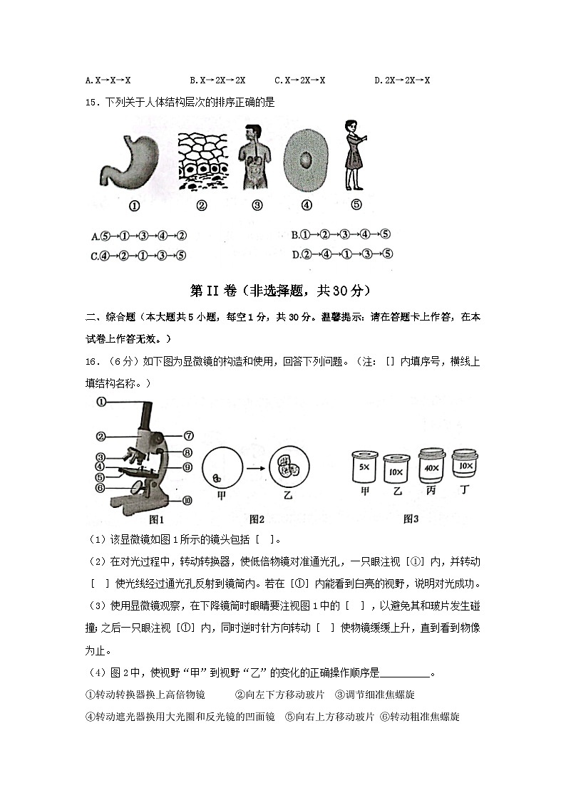 广西壮族自治区贵港市覃塘区2023-2024学年七年级上学期期中考试生物试题（word版含答案）第3页