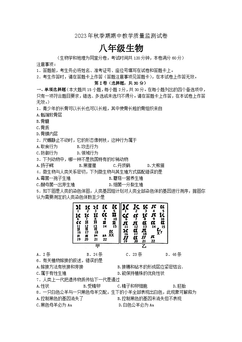 广西壮族自治区贵港市覃塘区2023-2024学年八年级上学期期中考试生物试题（word版含答案）01