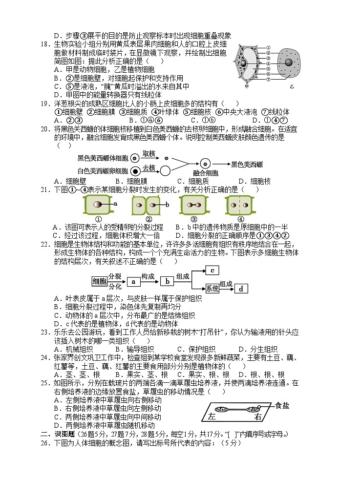 湖南省张家界市永定区2023-2024学年七年级上学期期中考试生物试题03