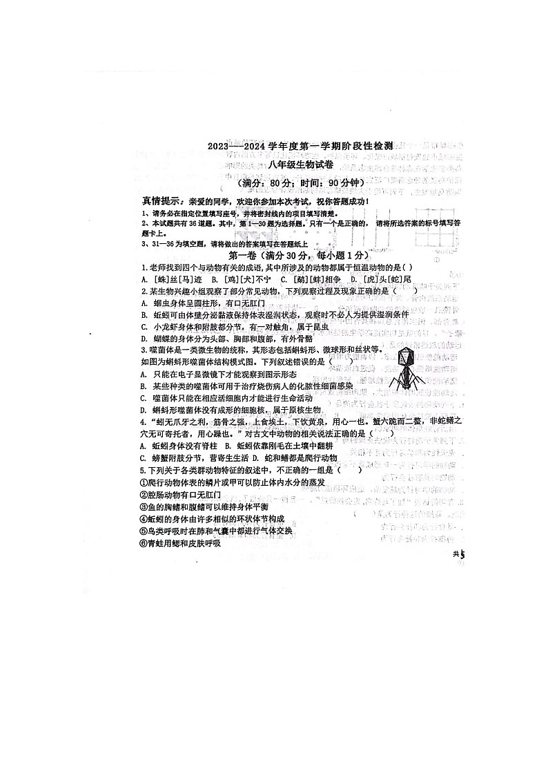 山东省青岛大学附属中学2023-2024学年八年级上学期期中生物试题01